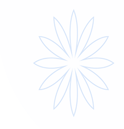 kaiyun官方网站·登录入口(官方)最新IOS/安卓版/手机版