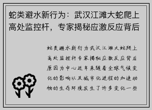 蛇类避水新行为：武汉江滩大蛇爬上高处监控杆，专家揭秘应激反应背后原因