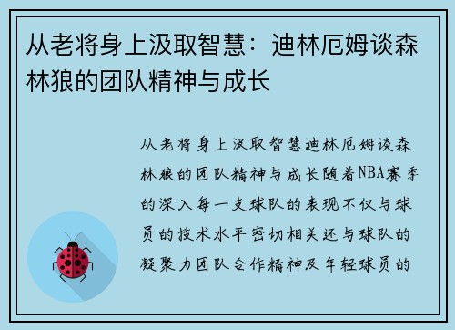从老将身上汲取智慧：迪林厄姆谈森林狼的团队精神与成长