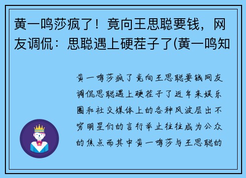 黄一鸣莎疯了！竟向王思聪要钱，网友调侃：思聪遇上硬茬子了(黄一鸣知乎)