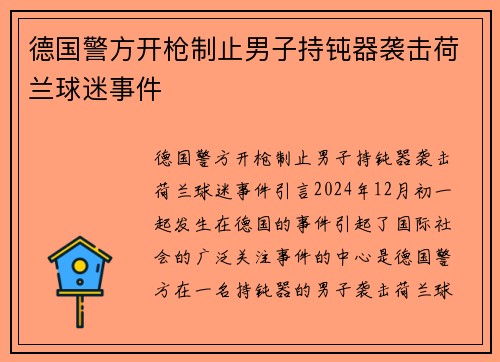 德国警方开枪制止男子持钝器袭击荷兰球迷事件